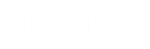 NetSarthi Logo